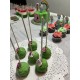 Cakesicles Platers 